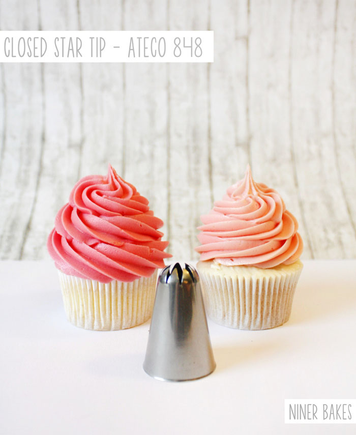Aniey z Delight Cupcake Decorating Basic Icing Frosting Piping 