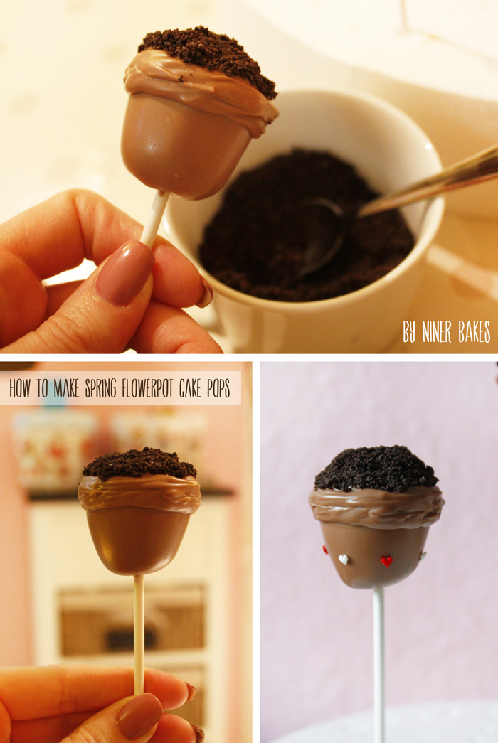 oster cake pops - frühling  blumentopf cake pops - anleitung - tutorial - von niner bakes