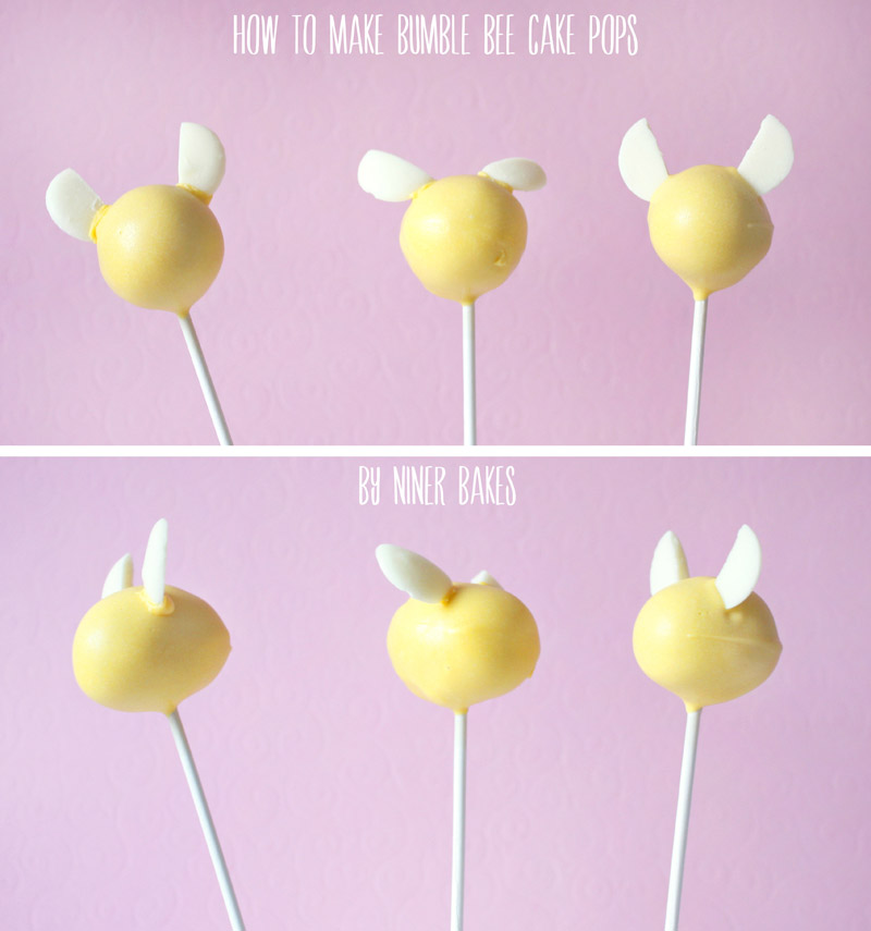 tutorial - hummel bienen cake pops - niner bakes