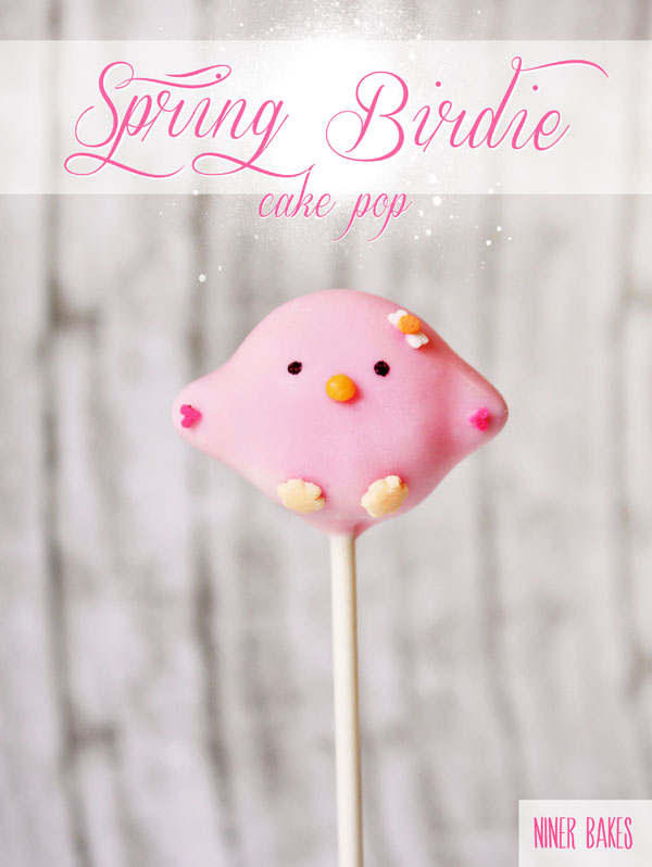 bird cake pops tutorial by niner bakes