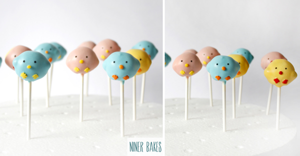 bird cake pops tutorial by niner bakes