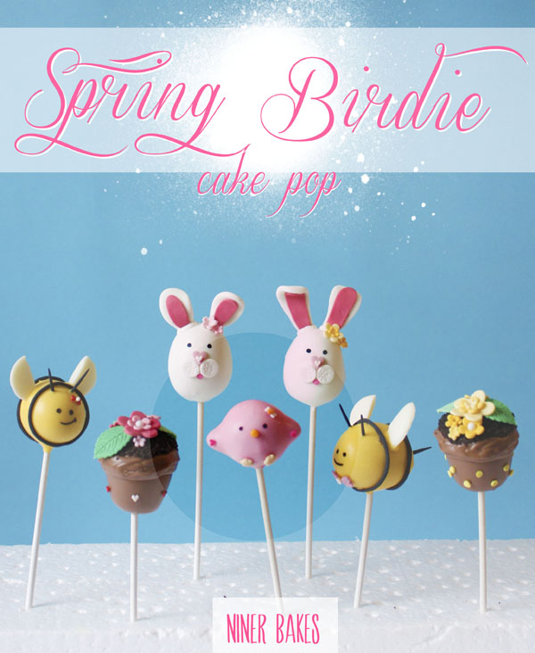 bird cake pops tutorial by niner bakes