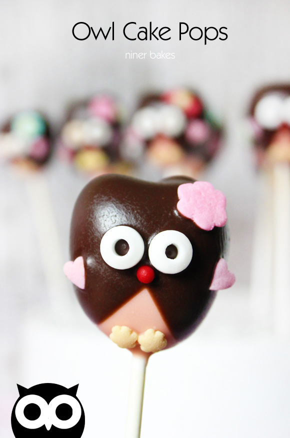 Drei Haselnüsse für Aschenbrödel - Kinder Weihnachtsmusical Hannover - GOP-Varieté - Eulen Owl Cake Pops - niner bakes