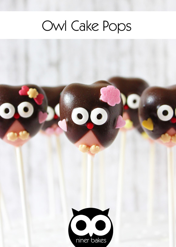 Drei Haselnüsse für Aschenbrödel - Kinder Weihnachtsmusical Hannover - GOP-Varieté - Eulen Owl Cake Pops - niner bakes