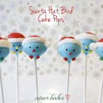 Santa Hat Birdie Cake Pops Tutorial - how to make Bird Cake Pops with Santa Hats_ninerbakes