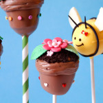 header_ninerbakes_flowerpot_bee_cakepops