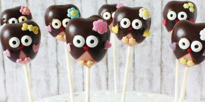 Kids Musical and Owl Cake Pops